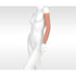 Juzo Dynamic Armsleeve 20-30 mmHg w/ Silicone Band, Beige